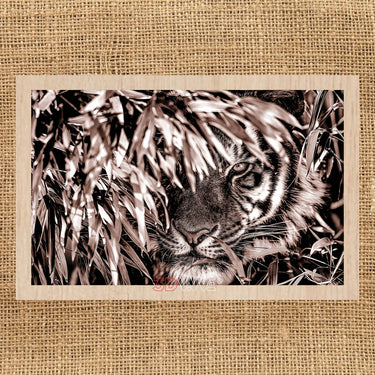 TIGER pyroprinter & laser-ready file 3DWave.us